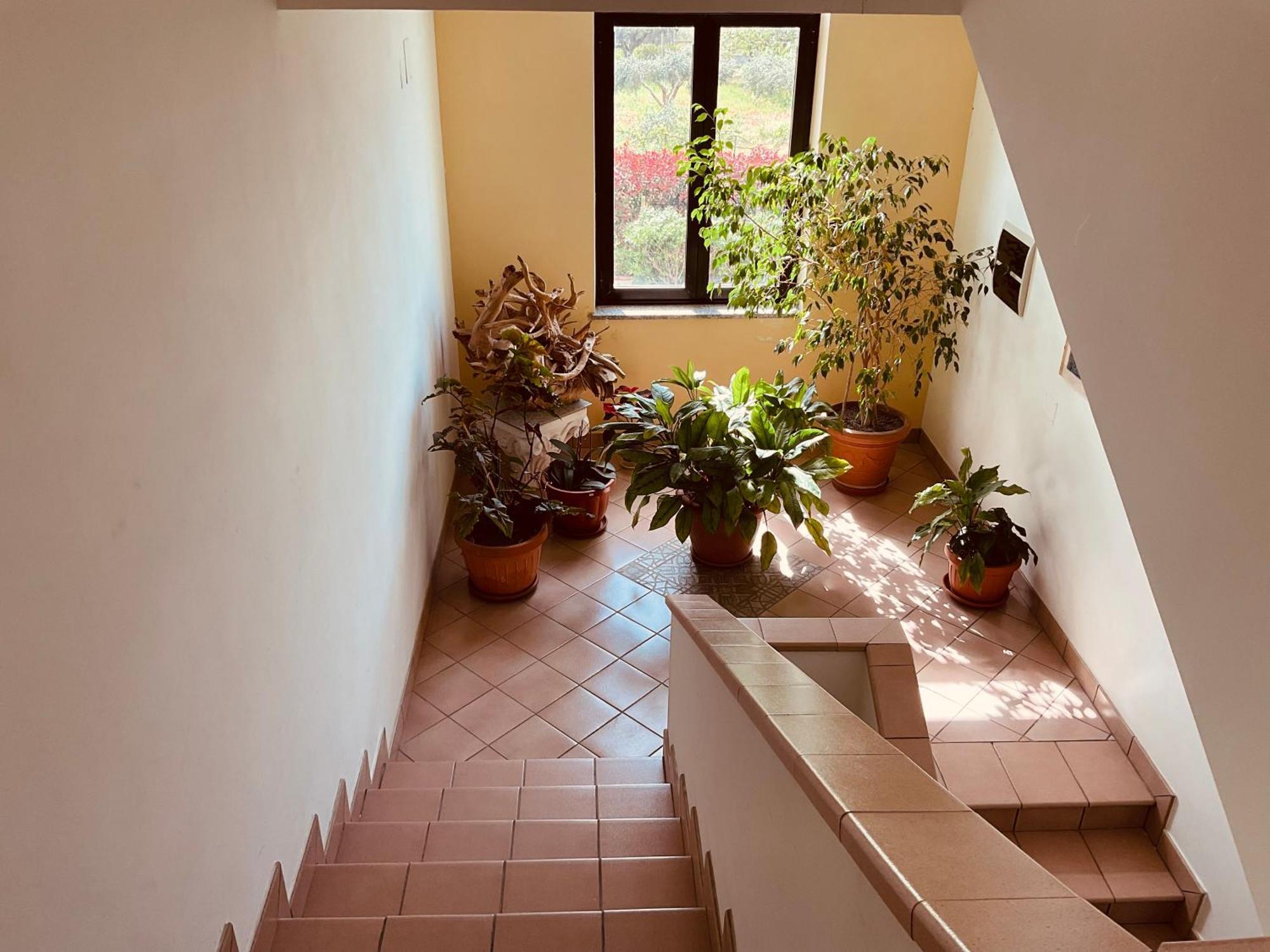 Casa Vacanza Demetra Марина-ди-Фускальдо Экстерьер фото